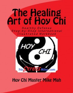 book the Healing Art of Hoy Chi full size Cover
